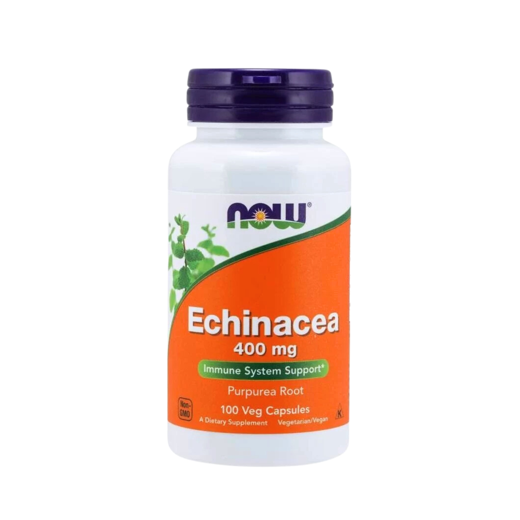 NOWFOODS Vitamin Nafsu Makan Echinacea (100 tablet)
